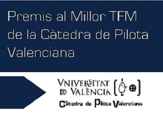 Premi al millor TFM